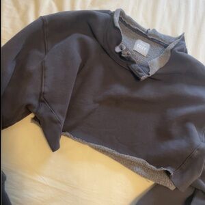 Aritzia cropped hoodie